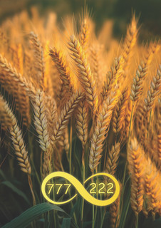 طرح زیبا - دفتر خط دار سیمی A5